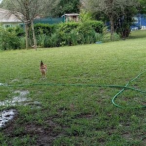 Meet your Posher, Nicolas